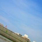 tamagoya-bis