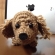 ダックス　編みぐるみ