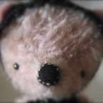 tiny-bear