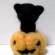 ハロウィン黒猫